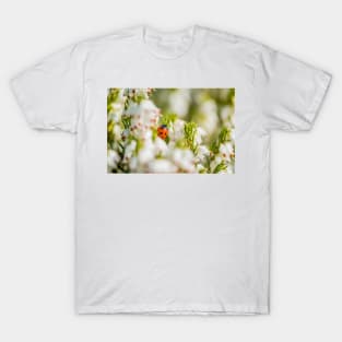 Ladybird amongst the heather T-Shirt